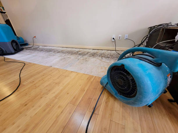 Professional Sewage Cleanup technician working in Burlington, WI